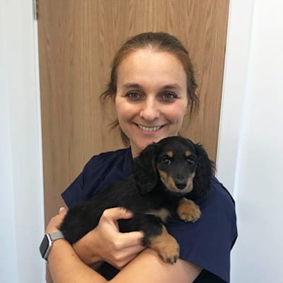 Sophie Hall, Veterinary Surgeon